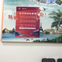 第一國際旅行社（東莞）團(tuán)購服務(wù)全攻略 價格、地址、營業(yè)時間及國內(nèi)旅游服務(wù)詳解
