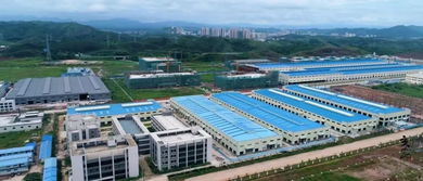 簽約28個項目引資381億，肇慶綠色農副產品集散基地強勢崛起，賦能國內旅游服務升級